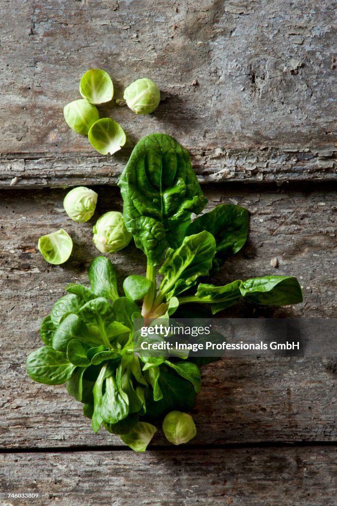 Organic spinach, lambs lettuce and Brussels sprouts on a wooden surface