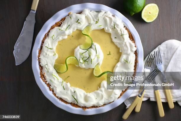 key lime pie (usa) - key lime stock pictures, royalty-free photos & images