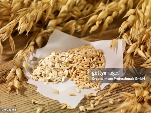 oat seeds, oats and ears of oats on a wooden surface - oat ear stock pictures, royalty-free photos & images