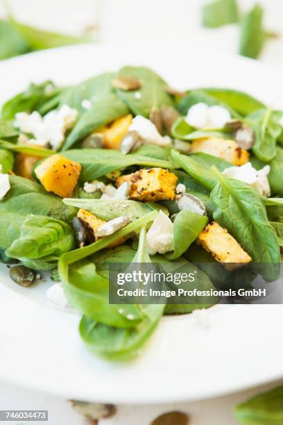 spinach salad with pumpkin, feta cheese and pumpkin seeds - fetta - fotografias e filmes do acervo