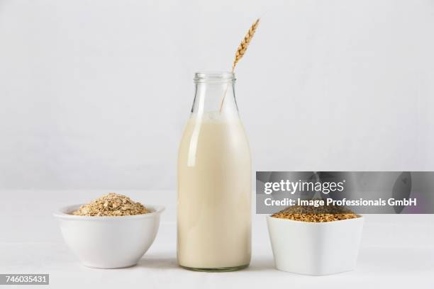 a bottle of oat milk with two dishes of oats and oatmeal - oat stockfoto's en -beelden