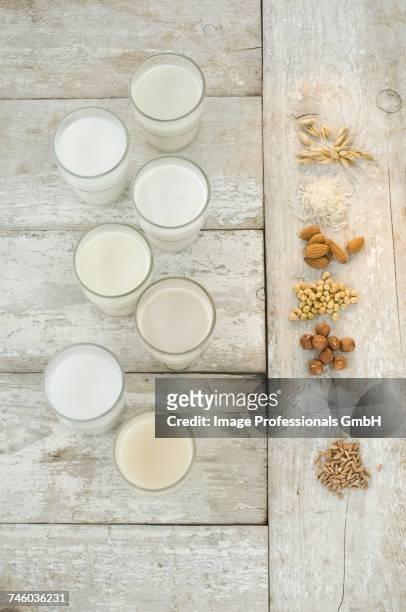various types of lactose-free milk in glasses (seen from above) - soya milk stock pictures, royalty-free photos & images