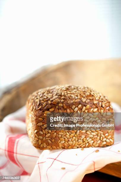finnenbrot (wholemeal bread with a high percentages of grains) on a tea towel - high fibre diet stock pictures, royalty-free photos & images