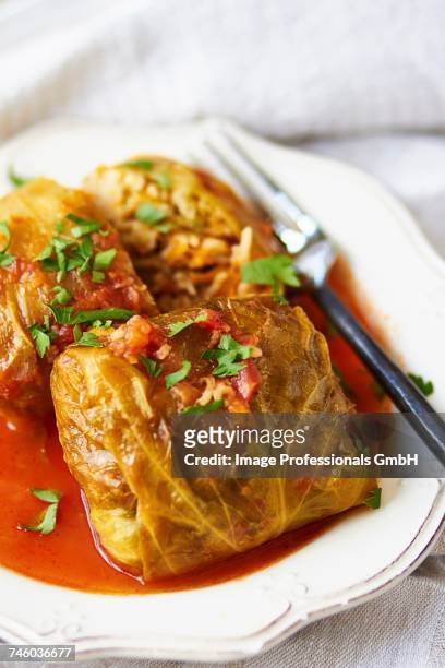 golabki (polish cabbage roulade) with tomato sauce - cabbage roll stock pictures, royalty-free photos & images