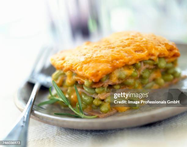 ham, bean and cheddar lasagne - charcuterie fromage stock pictures, royalty-free photos & images