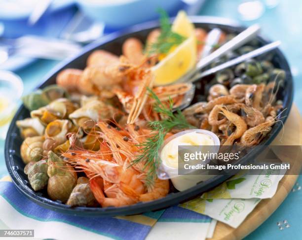 platter of seafood - seafood platter bildbanksfoton och bilder