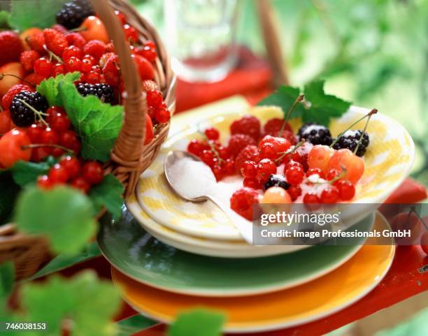 Sugar Cane Raspberry Raspberry Cane Photos and Premium High Res Pictures - Getty Images