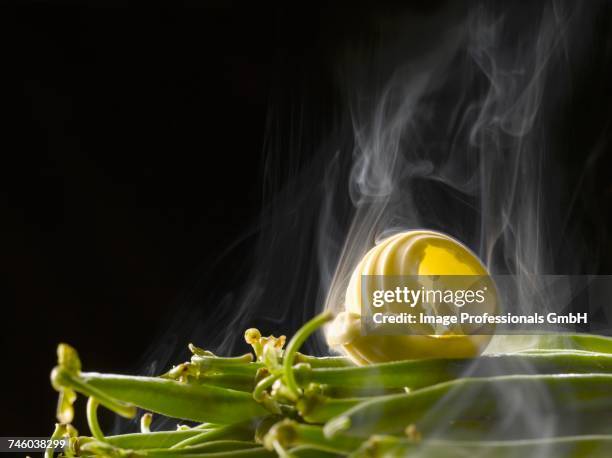 knob of butter on green beans - ricciolo di burro foto e immagini stock