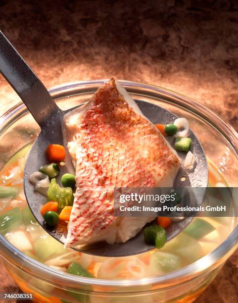Fish Fillet Mini Small Fish Fillet Photos and Premium High Res Pictures - Getty Images