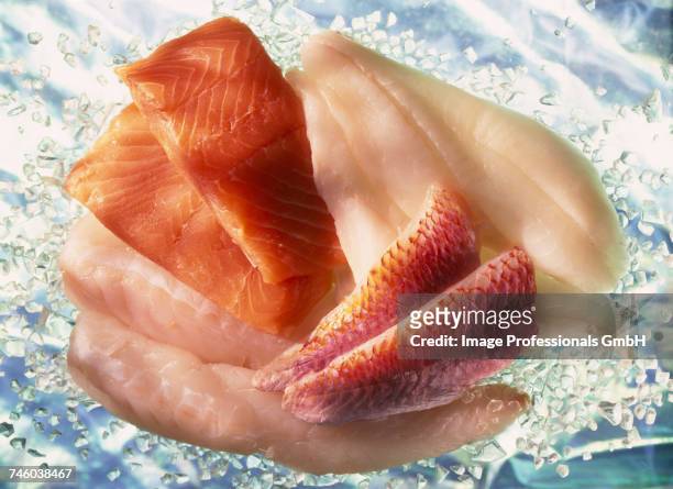 selection of fish:salmon fillet,monkfish,red mullet and empereur - humpnose bigeye bream stock pictures, royalty-free photos & images