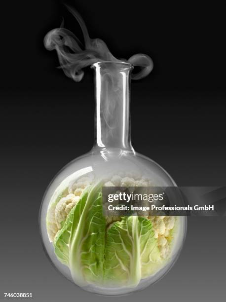 cauliflower in a glass chemical testing bottle - molecular gastronomy stock pictures, royalty-free photos & images