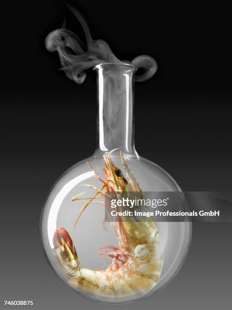 shrimp in a glass chemical testing bottle - cocina molecular fotografías e imágenes de stock