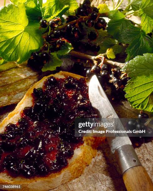 blackcurrant jam spread on bread - cassis fruit stock-fotos und bilder