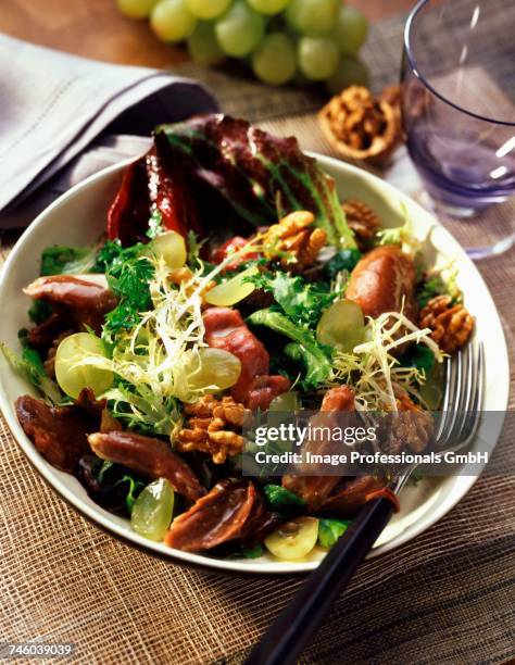 duck and walnut salad - curly endive stock pictures, royalty-free photos & images