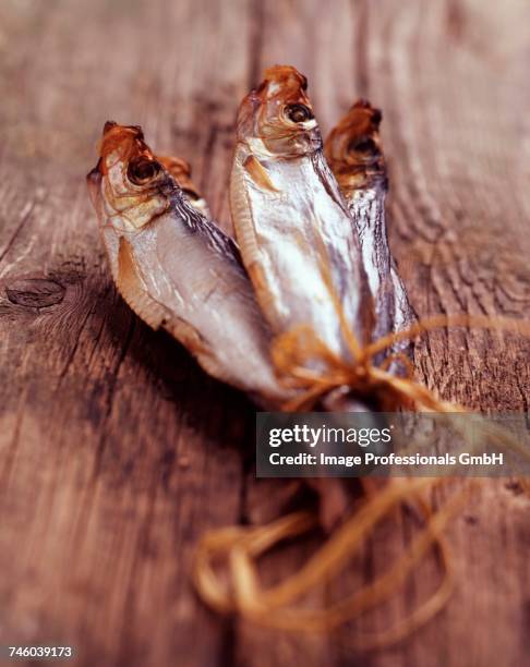 sprats - sprat fish stock pictures, royalty-free photos & images