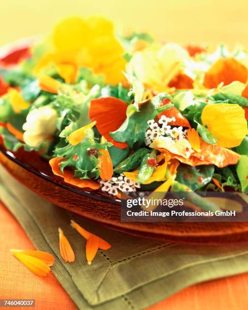 spring salad - nasturtium fotografías e imágenes de stock