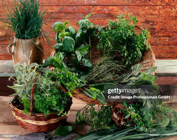 composition with herbs - chervil stock pictures, royalty-free photos & images