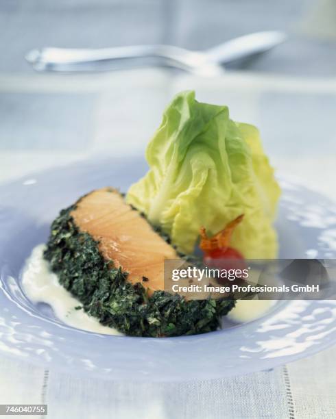 herbed salmon - lattuga stock pictures, royalty-free photos & images