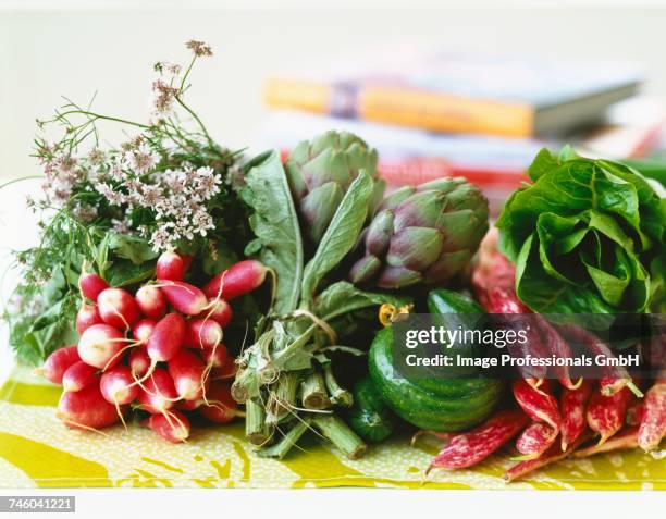 arrangement of early vegetables - lattuga fotografías e imágenes de stock