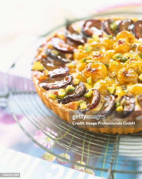 mirabelle and quetsche plum tart - mirabelle stock-fotos und bilder