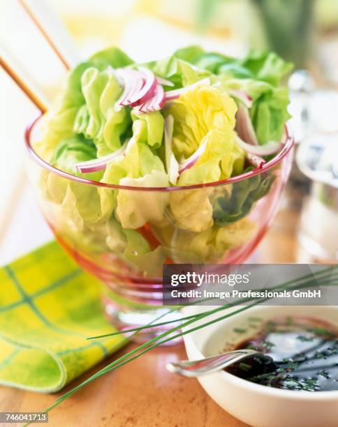 lettuce hearts - lattuga stock pictures, royalty-free photos & images