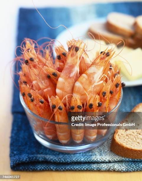 pink prawns - gambas ストックフォトと画像
