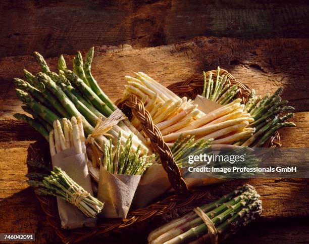 product - asparagus - asparagus fern stock pictures, royalty-free photos & images