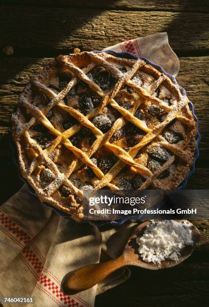 quetsche plum lattice tart - linzertorte stock-fotos und bilder