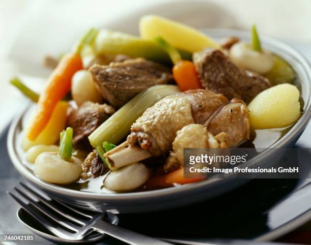 duck and vegetable stew - pot au feu imagens e fotografias de stock