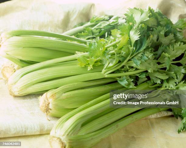 celery - celery foto e immagini stock