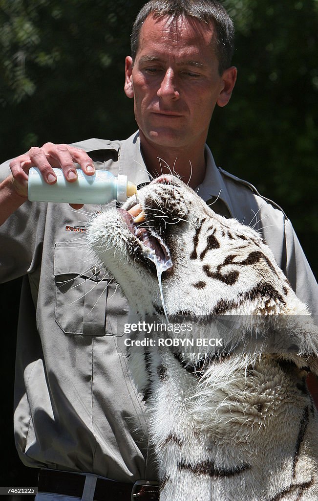 Animal trainer Lee Munro bottle feeds 2.