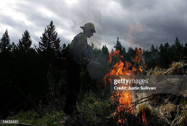 Wildland Firefighter Photos and Premium High Res Pictures - Getty Images