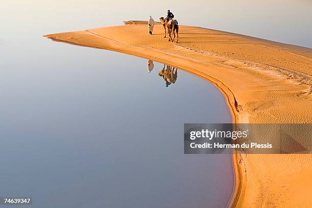 reflection of berber man with tourist on a dromedary camel (camelus dromedarius) - dromedar stock-fotos und bilder