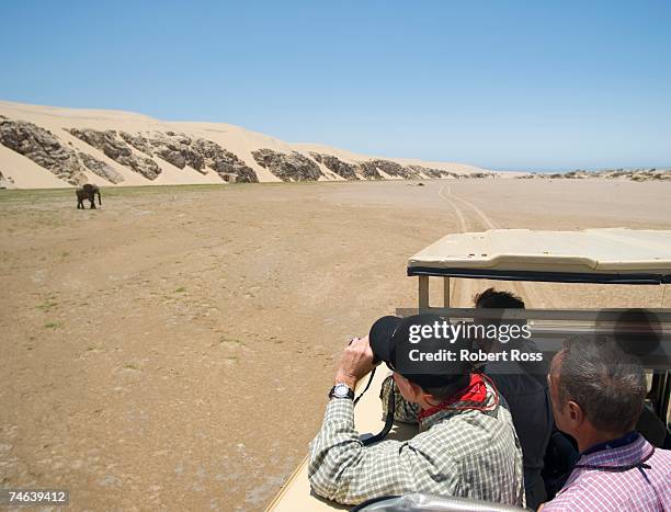 tourists on a desert safari viewing a lone elephant (loxodonta africana) - skeleton coast national park bildbanksfoton och bilder