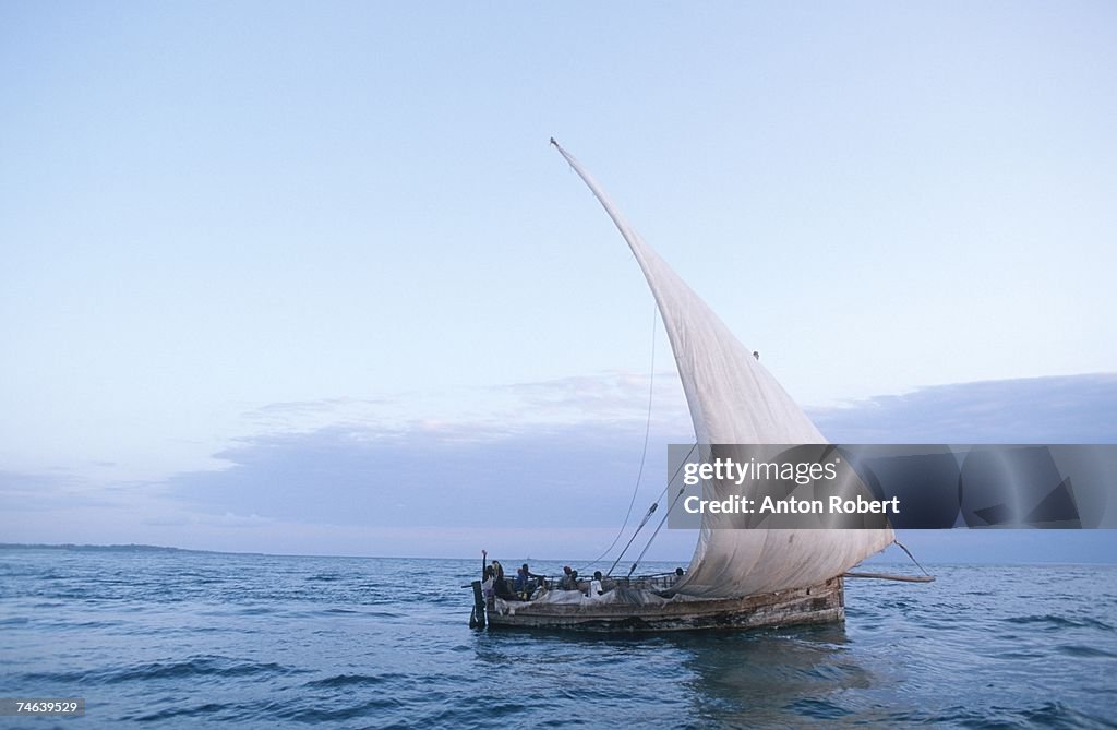 Dhow Boat in Full Sail