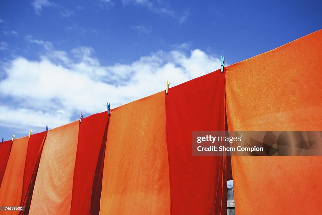 Samburu Tribe Brightly Coloured Sarongs Hung up to Dry