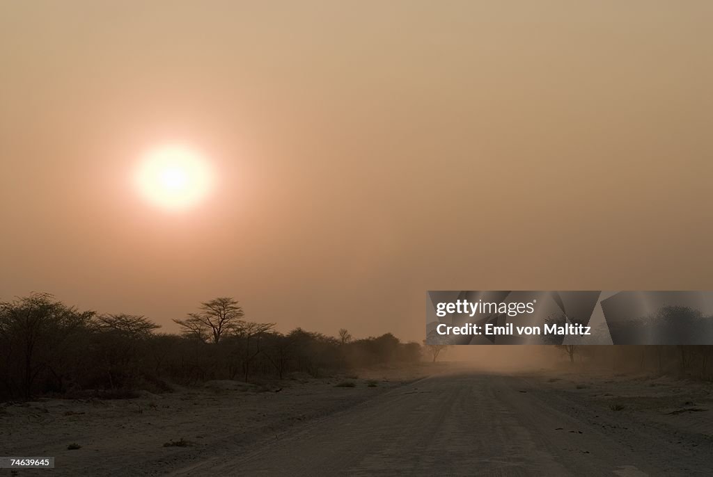 View of Dusty Dirt Road at Dusk