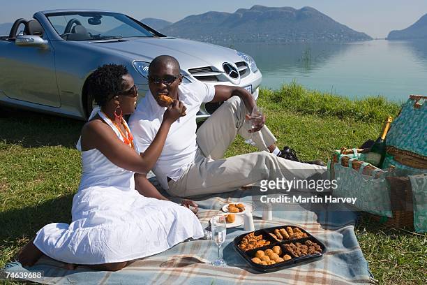 south african couple having a picnic at a dam - toyota south africa motors stock pictures, royalty-free photos & images