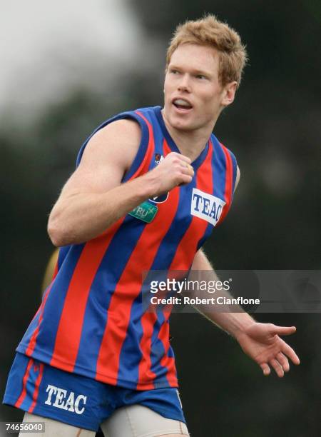 Matthew Smith of Port Melbourne celebrates his goal during the round ten VFL match between Port Melbourne and the Werribee Tigers at Teac Oval June...