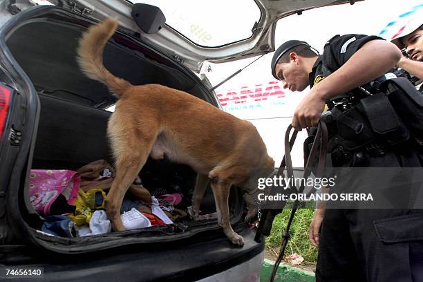 Un agente de la Policia Nacional Civil se auxilia de un perro mientras busca droga en un taxi en Ciudad de Sol, en la periferia sur de Ciudad de...