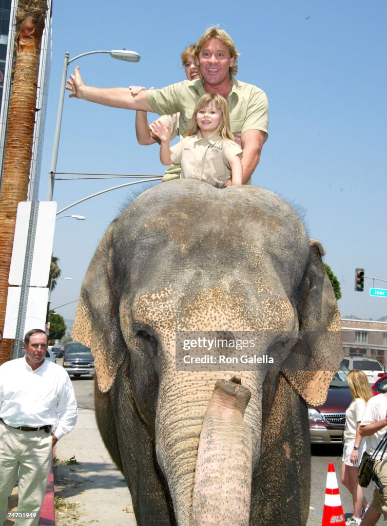 "The Crocodile Hunter: Collision Course" Premiere