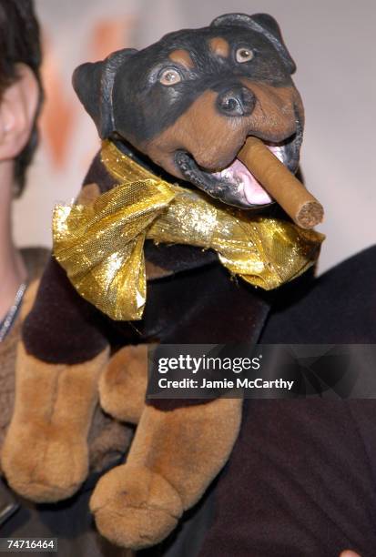 Triumph The Insult Comic Dog at the The Beacon Theater in New York City, New York