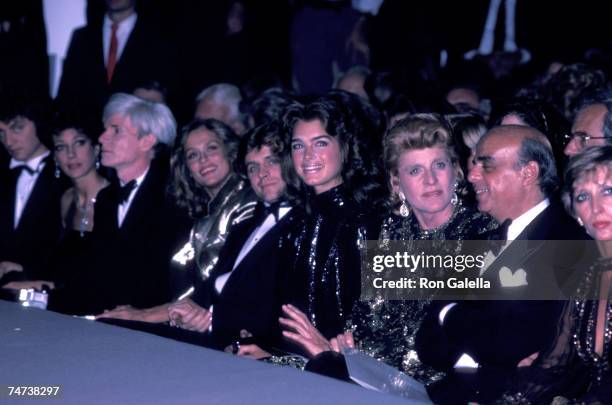 Richard Golub, Marisa Berenson, Andy Warhol, Lauren Hutton, Mikhail Barysnikov, Brooke Shields, Patricia Kennedy Lawford and Donald Brooks during the...