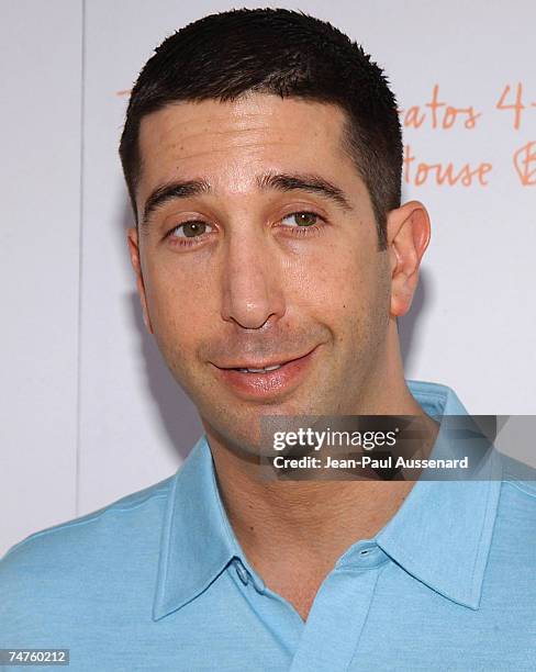 David Schwimmer at the John Varvatos Boutique in West Hollywood, California