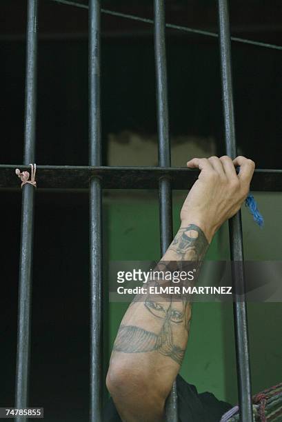Tegucigalpa, HONDURAS: Un preso muestra sus tatuajes dentro del modulo ''Las Leoneras'' en la Penitenciaria Nacional de Honduras, 30 km al norte de...