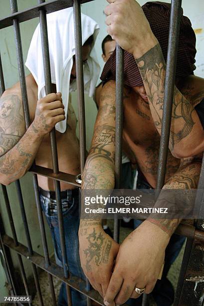 Tegucigalpa, HONDURAS: Presos muestran sus tatuajes dentro del Modulo ''Las Leoneras'' en la Penitenciaria Nacional de Honduras, 30 km al norte de...