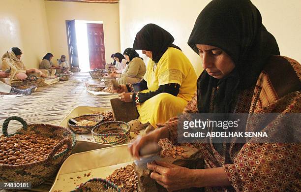 Moroccan women crush Argan tree nuts 18 June 2007 in Smimmou, near Essaouira, to make Argan oil. The Argan tree is unknown for many people since it...