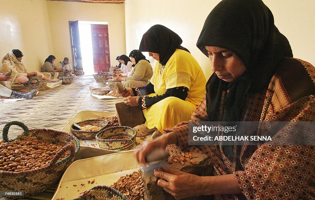 Moroccan women crush Argan tree (Argania...