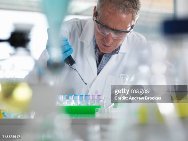 scientist pipetting samples into eppendorf tubes for testing during an experiment in the laboratory - biochemist stock pictures, royalty-free photos & images