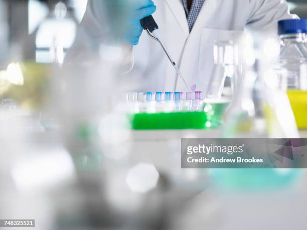 scientist pipetting samples into eppendorf tubes for testing during an experiment in the laboratory - eppendorf tube stock pictures, royalty-free photos & images